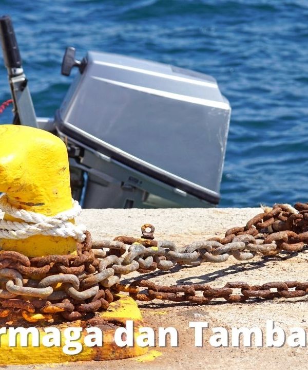 Jasa Dermaga dan Tambat Indonesia, Jasa Pelayanan Kepelabuhan