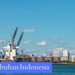 Indonesia Sedang Tingkatkan Fasilitas Pelayanan Jasa Pelabuhan