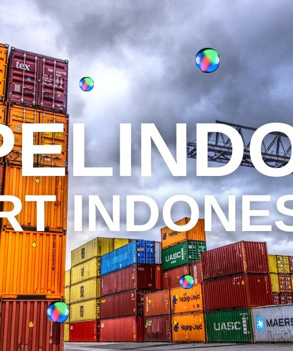 Bagaimana Kinerja Pelindo Port Indonesia Pasca Merger?